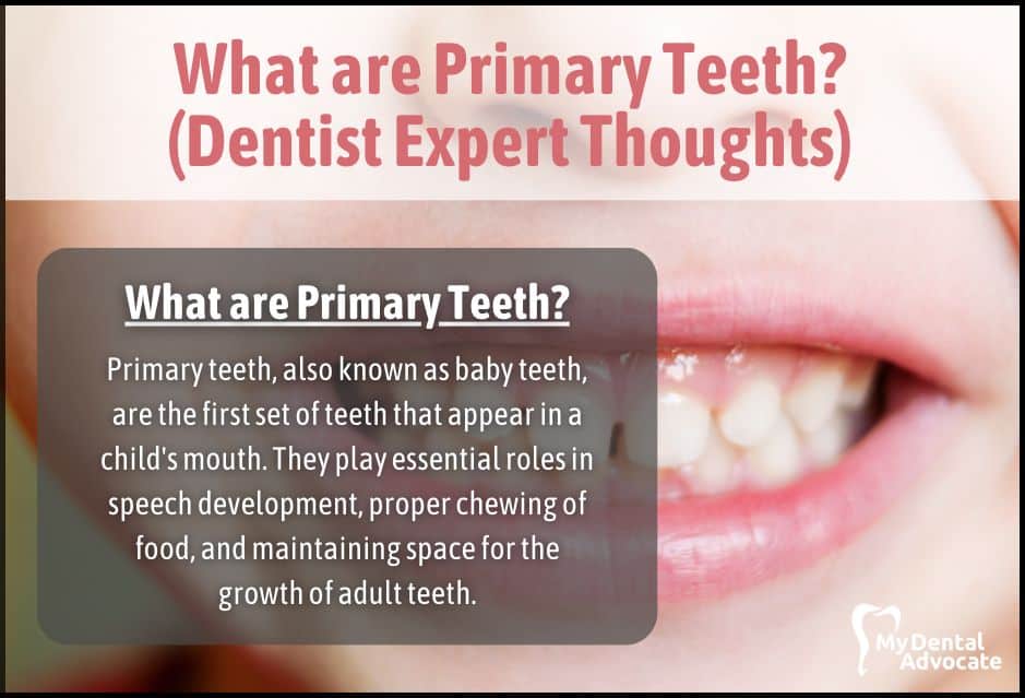 What are Primary Teeth? (Dentist Expert Thoughts)
